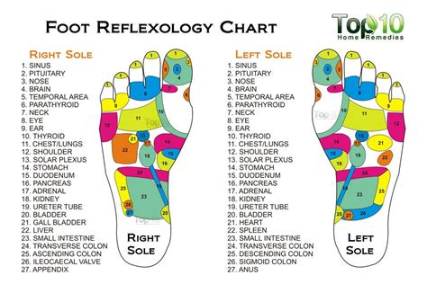 Foot Therapy: Unleashing the Magic of Reflexology for Better Health